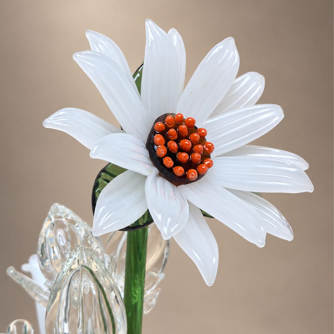 Alba Sunflower