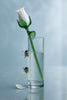 The Scarlet's Whisper – Hand-Blown Glass Flower Bouquet