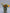 Tinsel Lily Glass Flower Stem - Amber