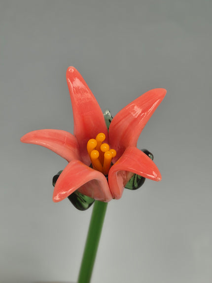 Tinsel Lily Glass Flower Stem - Coral