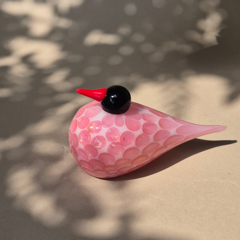 Glass Bird Figurines - Wild Fleur