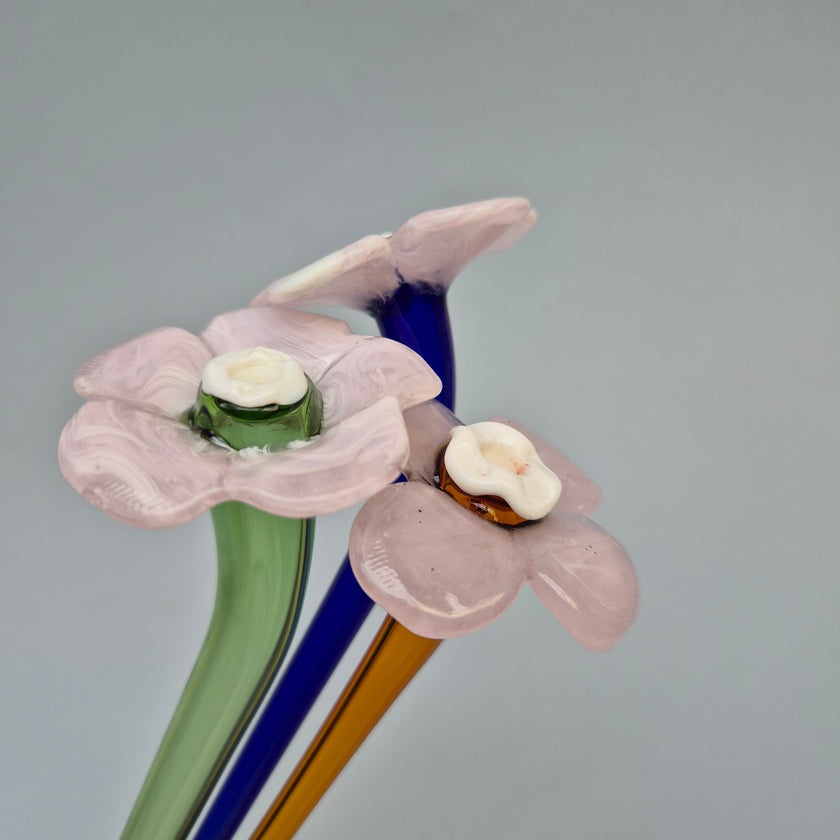 Daisy Glass Flower Stem - Pink Whisper