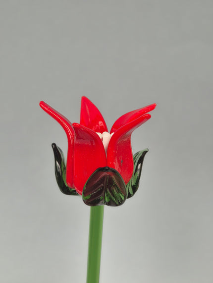 Festive Flame Lily-Glass Flower Stem