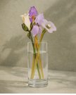Sage Garden — Lavender Reverie( Bouquet )