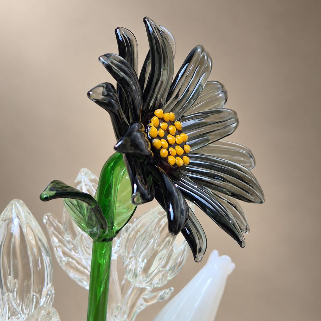 Noir Sunflower