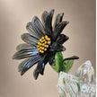 Noir Sunflower