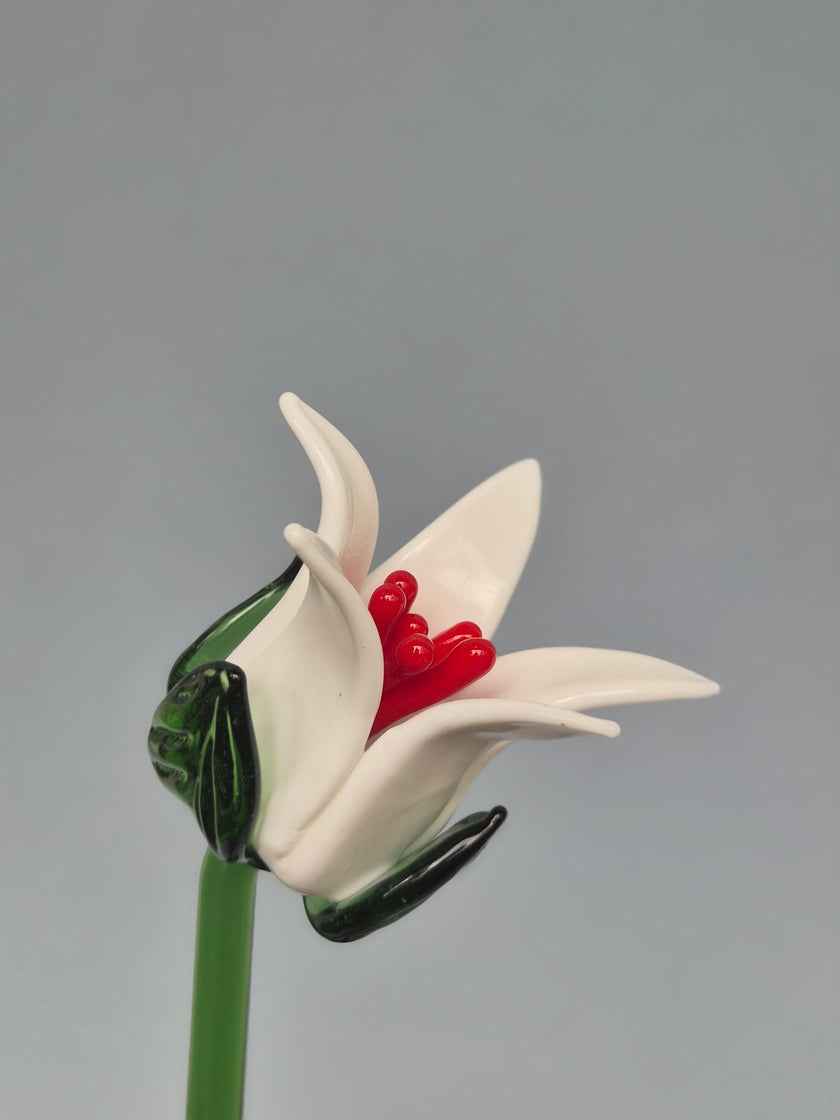 Glass flower sculpture with white petals, red center, and green stem on a gray background