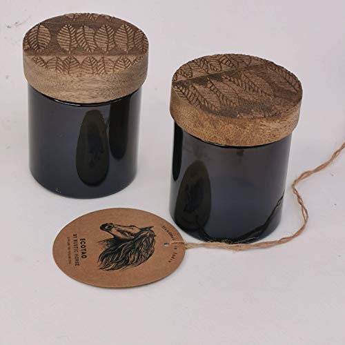 RUSTIC HORSE Artsy Wood and Glass 100ml Kitchen jar for Storage and Decor. Set of 2 (Tropical)