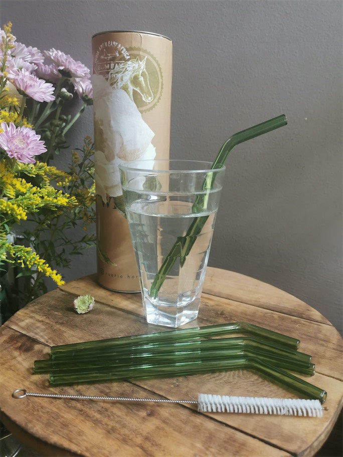 Going Green 6  Glass Straws